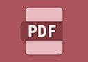Icona PDF di Workflow Central